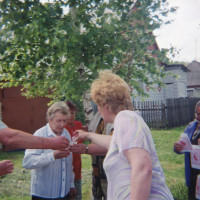 img148.jpg
