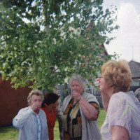 img129.jpg