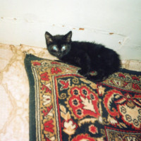 img248.jpg