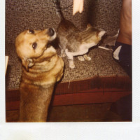 img187.jpg