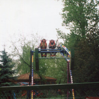 img304.jpg