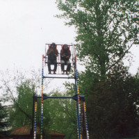 img313.jpg