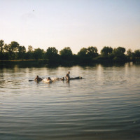 img231.jpg