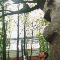 img262.jpg