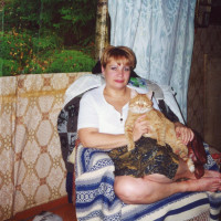 img164.jpg