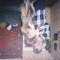 img160.jpg